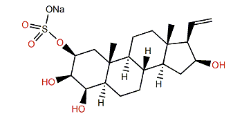 Ptilosteroid B